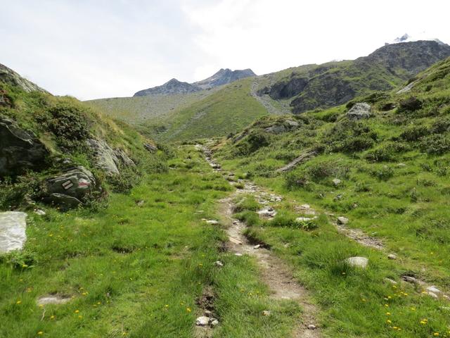 ...führt rechts in eine von der Seitenmoräne des Tseudetgletscher gebildeten Talmulde 2258 m.ü.M.