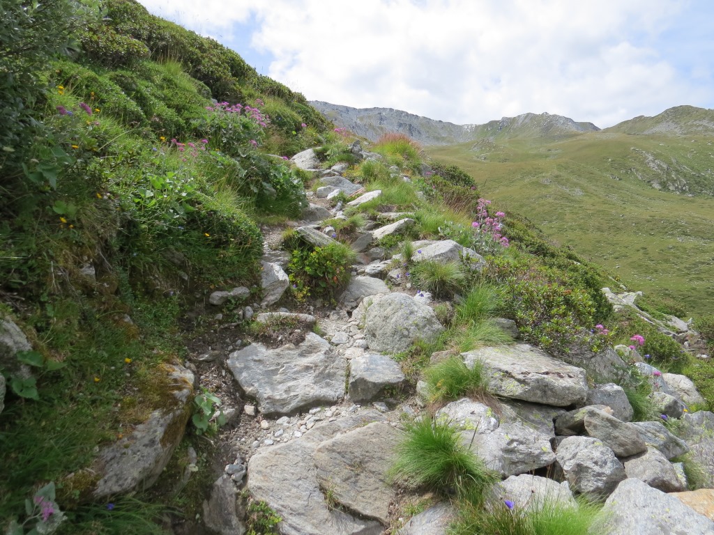 der Wanderweg wird ruppiger