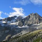 mit Blick auf den Mont Vélan...