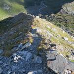 auf ca. 2400m verlassen wir rechts abbiegend, die vom Glacier de Tseudet geformte Moräne