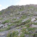 über eine steile Grasflanke verlassen wir die steinige Ebene des früheren Zusammenflusses von Valsorey- und Tseudetgletscher