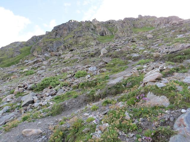 über eine steile Grasflanke verlassen wir die steinige Ebene des früheren Zusammenflusses von Valsorey- und Tseudetgletscher