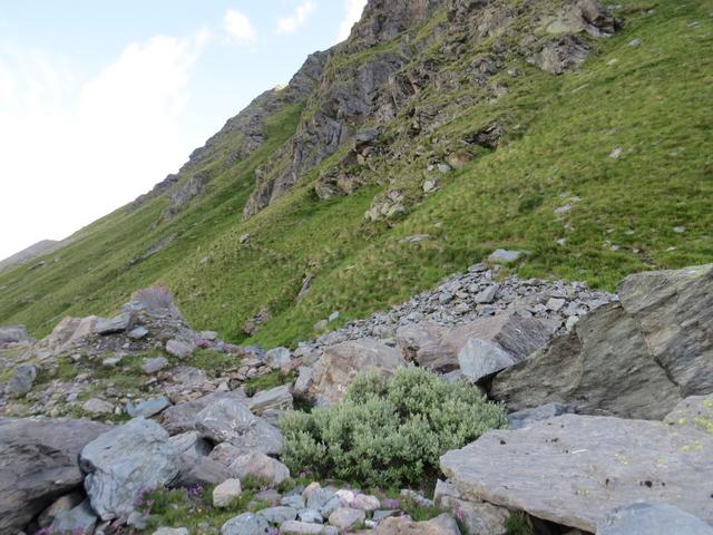 oben am Hang ist der Weg der vom Chalet d'Amont zur Valsorey Hütte hinaufzieht gut ersichtlich