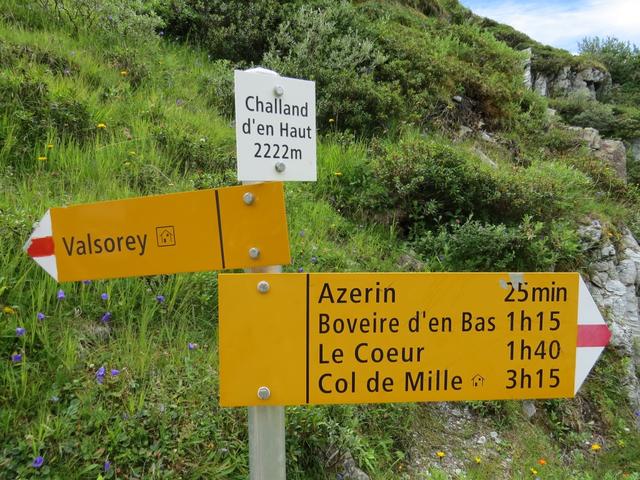 Wegweiser bei Challand d'en Haut 2222 m.ü.M. (orographisch linken Seite des Torrent de la Croix)