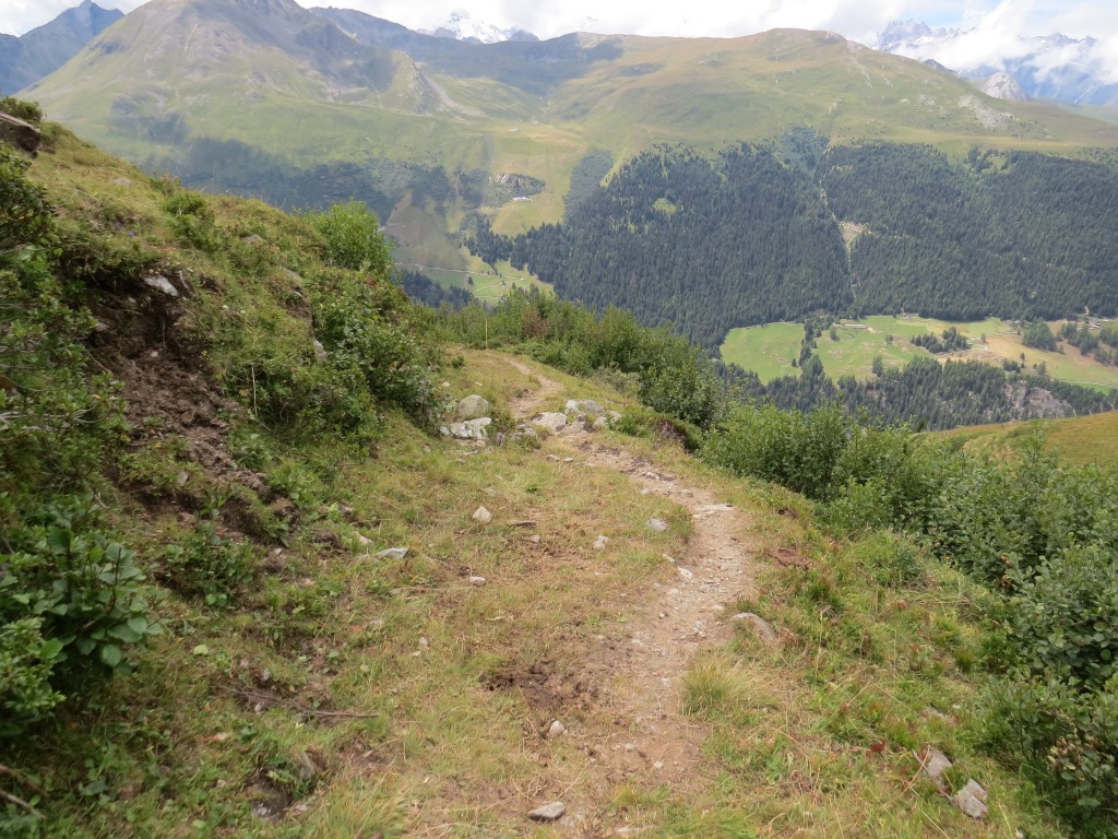 der Wanderweg macht nun einen markanten Linksbogen...