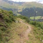 der Wanderweg macht nun einen markanten Linksbogen...