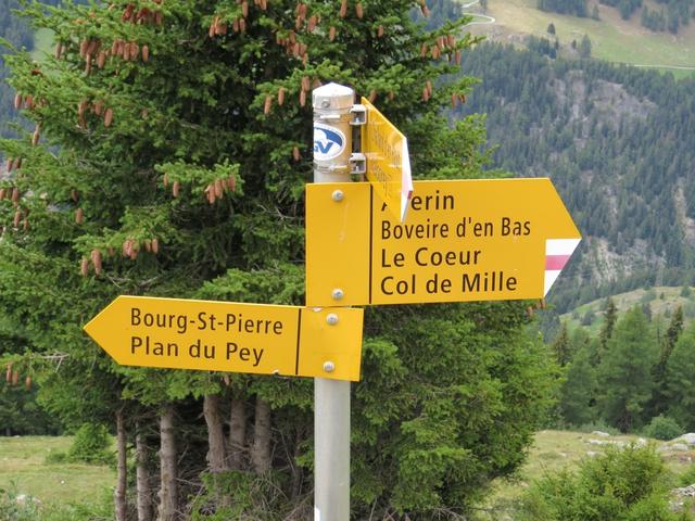 hier biegen wir links ab Richtung Bourg St.Pierre