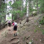 ...ziehen die Serpentinen im Bergwald aufwärts