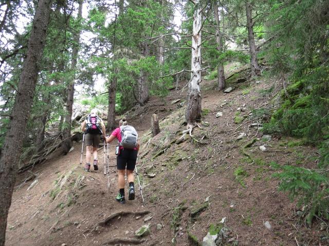 ...ziehen die Serpentinen im Bergwald aufwärts