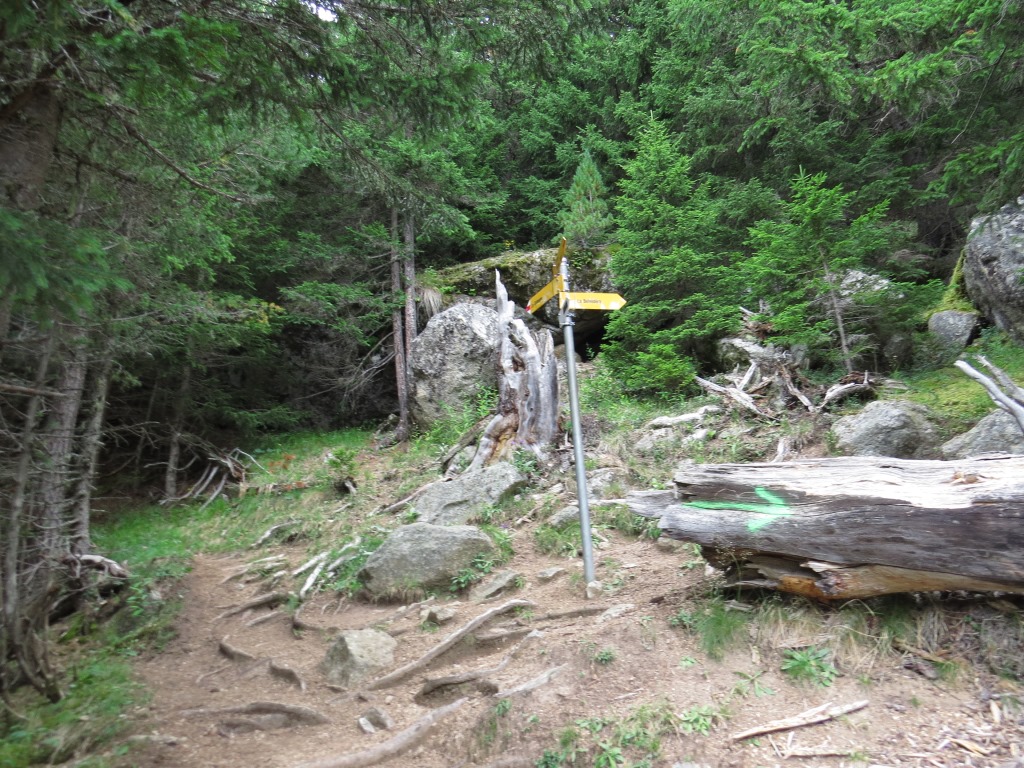 nach unzähligen Kehren, erreichen wir die Abzweigung 1794 m.ü.M. zum Le Belvédère 1818 m.ü.M.