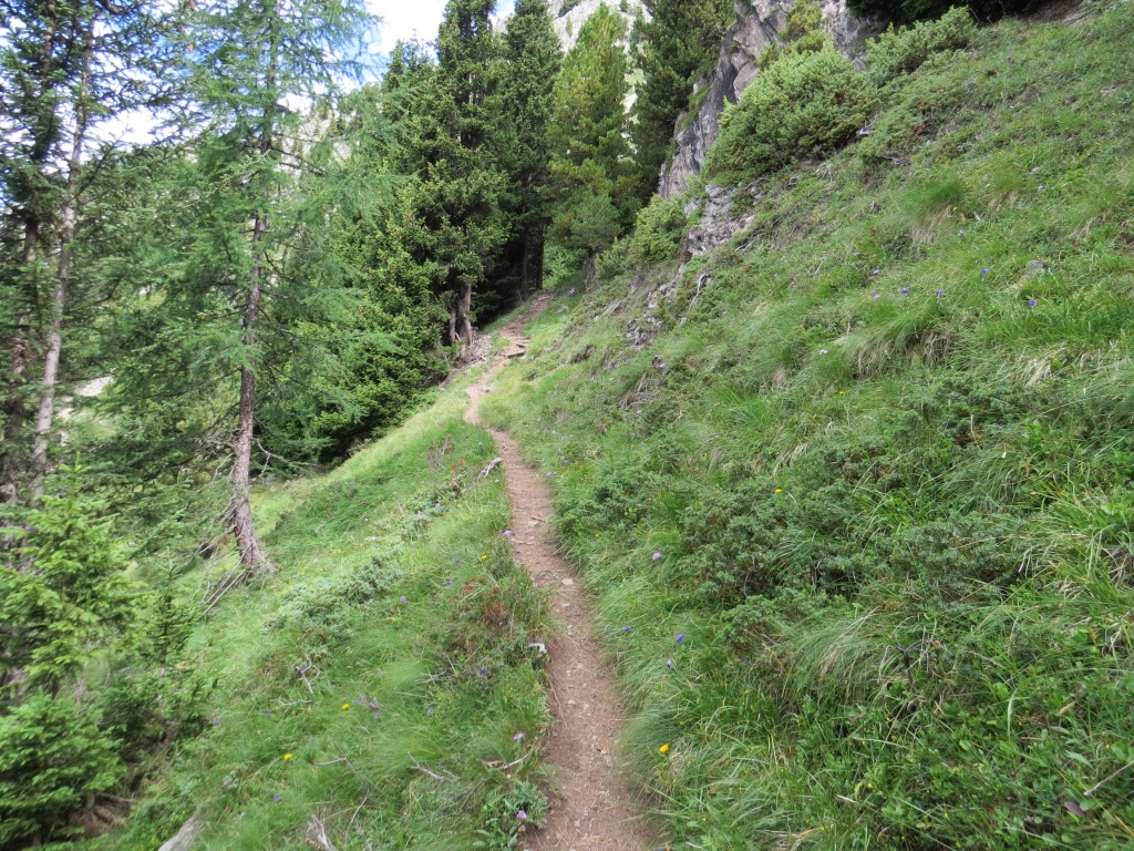 der Wanderweg ist immer gut sichtbar