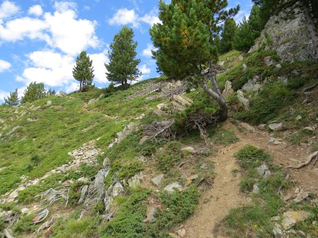 wir wandern auf gleichbleibender Höhe geradeaus weiter