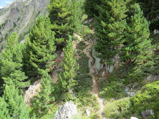 der Bergpfad durchquert nun die schrofige und steile Westflanke der Pointe des Chevrette