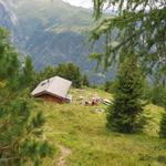 ...erreichen wir die private Berghütte auf Plan Foyat