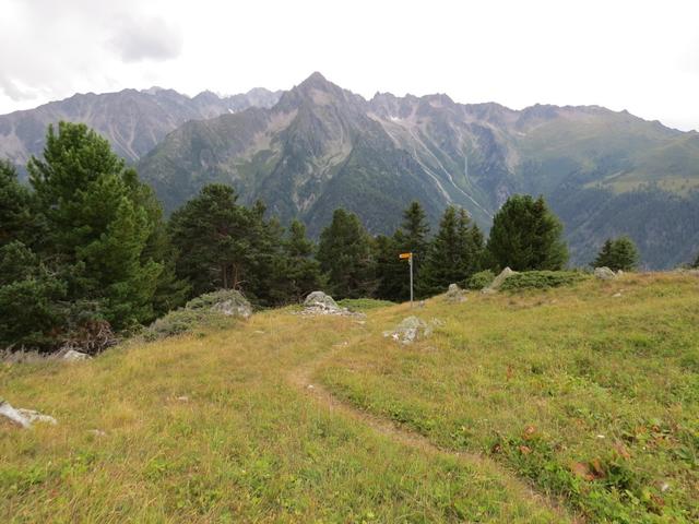 kurz nach der Berghütte erreicht man über Alpwiesen die Weggabelung bei Punkt 1986 m.ü.M.