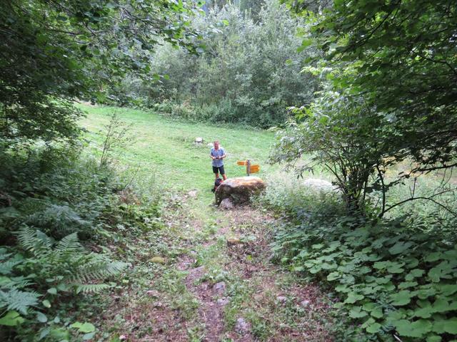 ...erreichen wir oberhalb von La Poya 1283 m.ü.M. eine Waldstrasse