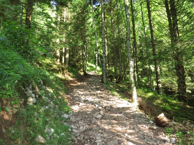 ...und ihn an der zweiten Kehre berührt 1198 m.ü.M.