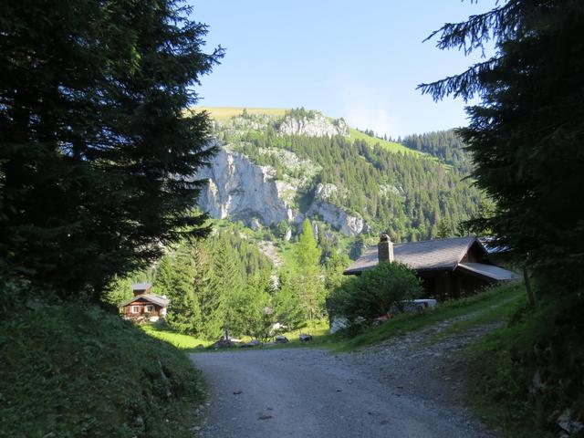 ...erreichen wir danach den Col de Taney 1440 m.ü.M.