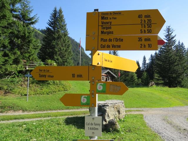 Wegweiser auf dem Col de Taney. Der Grammont wird hier nicht erwähnt