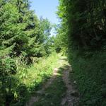 gleich hinter dem Gasthaus, biegen wir in den Wanderweg der uns zum Grammont führen wird