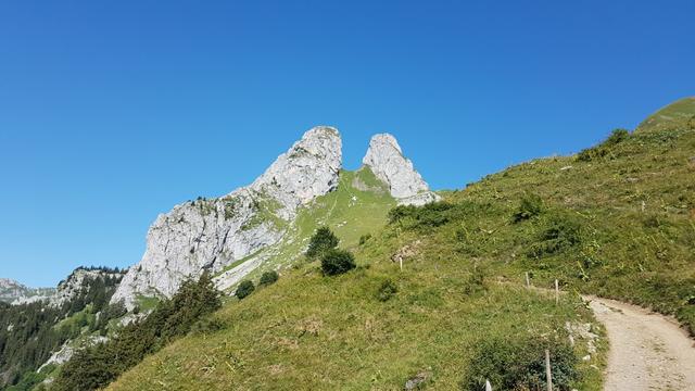 über offenes Weidegelände von Les Combes, mit Blick auf den Felsstock der Jumelles, geht es stetig aufwärts