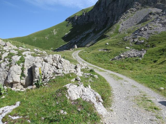 ...zum Col des Crosses 1971 m.ü.M. hier biegen wir rechts ab