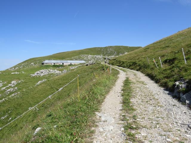 auf ebener Strecke quert der Weg nun die Westflanke des Grammont unterhalb einer felsigen Zone...