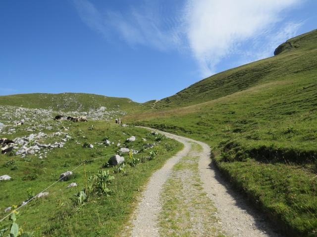 ...zu den Weiden der Alp Voyis 2000 m.ü.M.