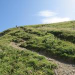 steil führt der Wanderweg nun über den Nordwestgrat hinauf zum Gipfel