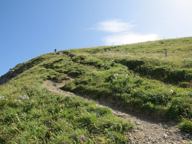 steil führt der Wanderweg nun über den Nordwestgrat hinauf zum Gipfel