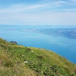 da der Grammont besonders von der Aussicht lebt, sollte man bei der Tourenplanung darauf möglichst grosse Aufmerksamkeit legen