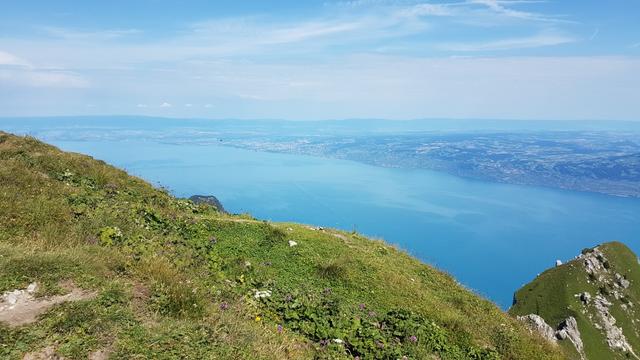 da der Grammont besonders von der Aussicht lebt, sollte man bei der Tourenplanung darauf möglichst grosse Aufmerksamkeit legen