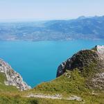 Blick zur anderen Seeseite nach Vevey und Montreux