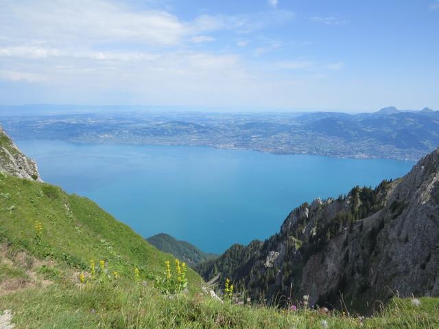 ein letzter Blick auf den Genfersee