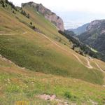 Blick zu den Alpgebäuden von Les Crosses