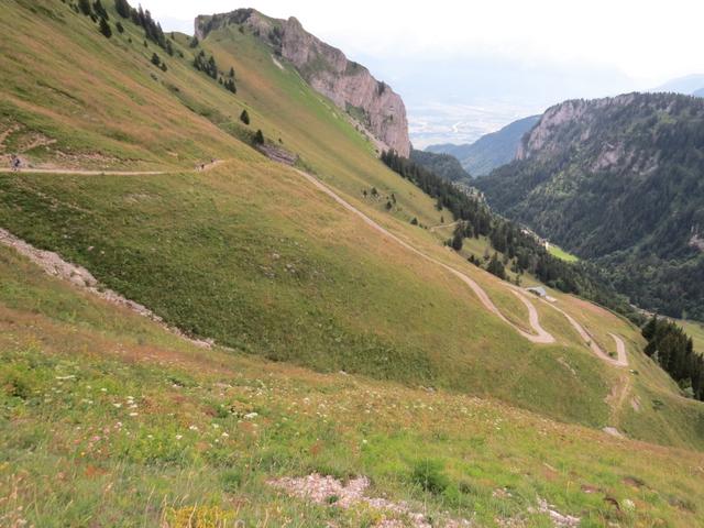 Blick zu den Alpgebäuden von Les Crosses