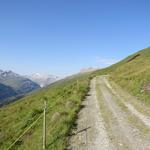 von der Alp folgen wir zunächst der leicht ansteigenden Alpstrasse