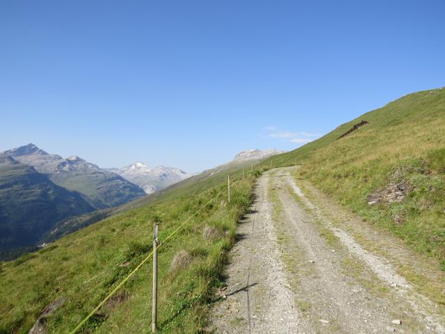 von der Alp folgen wir zunächst der leicht ansteigenden Alpstrasse