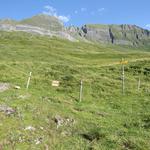 kurz nach der ersten Rechtskurve Punkt 2106 m.ü.M., biegt links der Wanderweg von der Alpstrasse weg