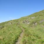 der Wanderweg führt nun über Grawgufer zur Leisalp