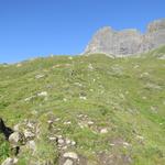 als wir durch die Leisalp wanderten, weideten zahlreiche Mütterkühe mit Kälber