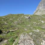 da wir uns nun nicht mehr auf dem Wanderweg befanden, waren keine Markierungen vorhanden