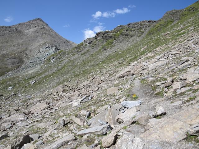 ...und erreichen die zwischen dem Faltschonhorn und dem Piz Aul liegende...