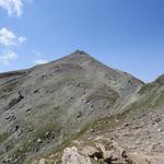 ...und blicken während dem Essen hinauf zum Faltschonhorn