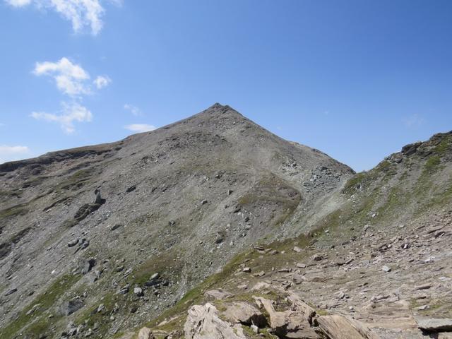 ...und blicken während dem Essen hinauf zum Faltschonhorn