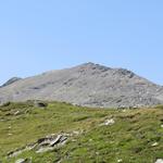 letzter Blick zurück zum Faltschonhorn