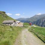 wir erreichen die Leisalp 2050 m.ü.M. unsere Bergtour geht zu Ende