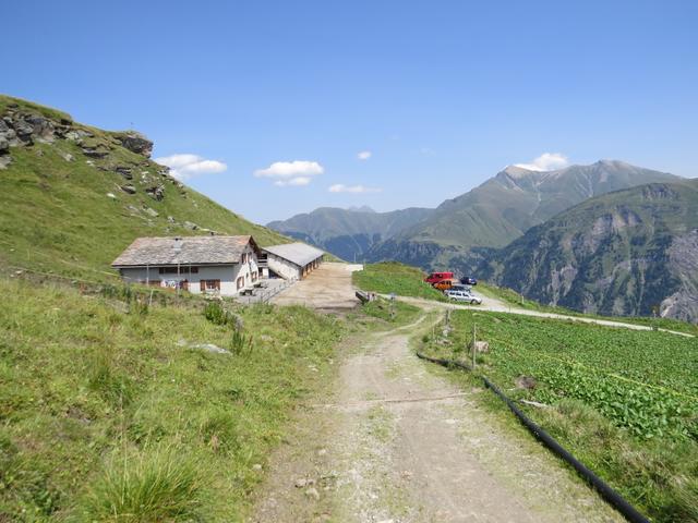 wir erreichen die Leisalp 2050 m.ü.M. unsere Bergtour geht zu Ende