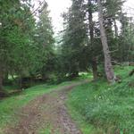 mit Ziel Alp Zavretta biegen wir direkt hinter dem Hotel Preda Kulm in den Wanderweg hinein