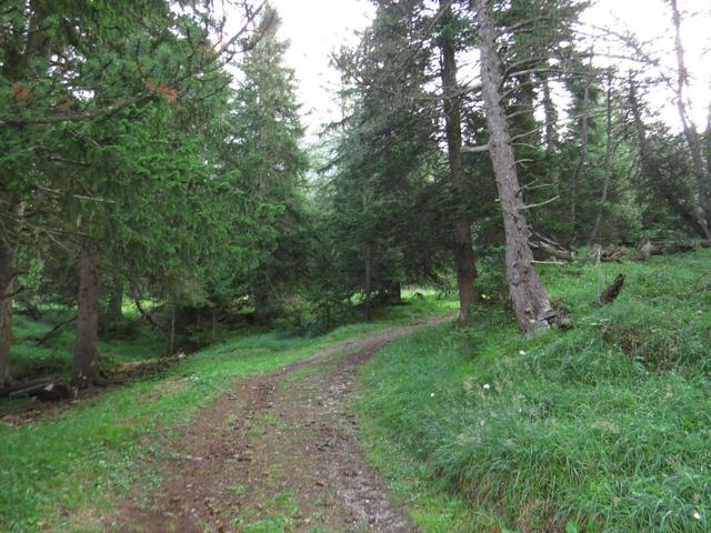 mit Ziel Alp Zavretta biegen wir direkt hinter dem Hotel Preda Kulm in den Wanderweg hinein